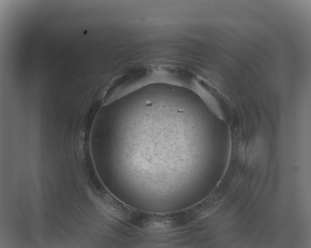 X0000075380263200609151736