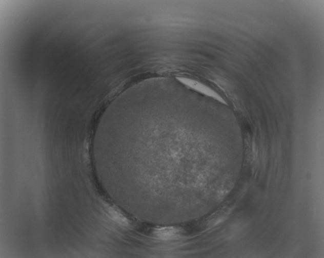 X0000075380269200609151736