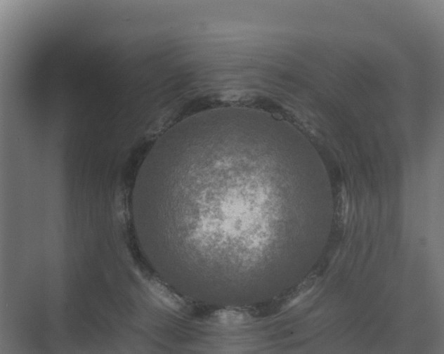 X0000075380272200609151736