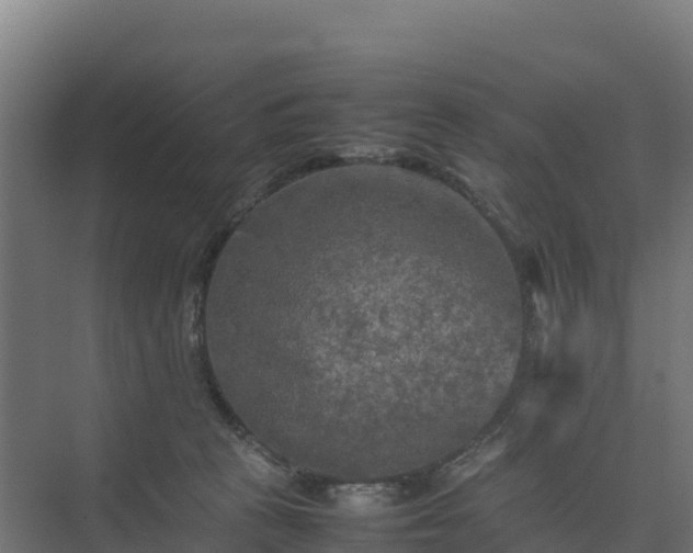 X0000075380273200609151736