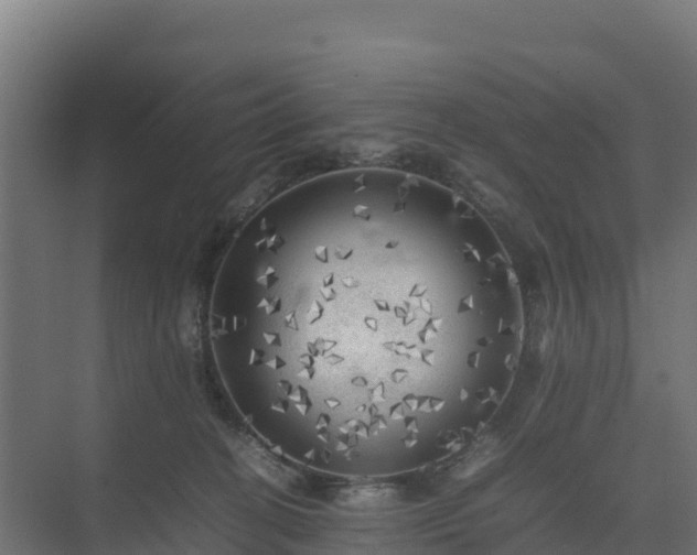 X0000075380274200609151736