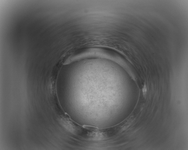 X0000075380276200609151736