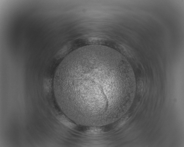 X0000075380278200609151736