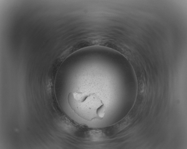 X0000075380279200609151736