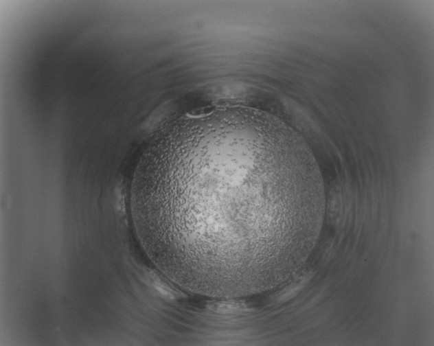 X0000075380282200609151736