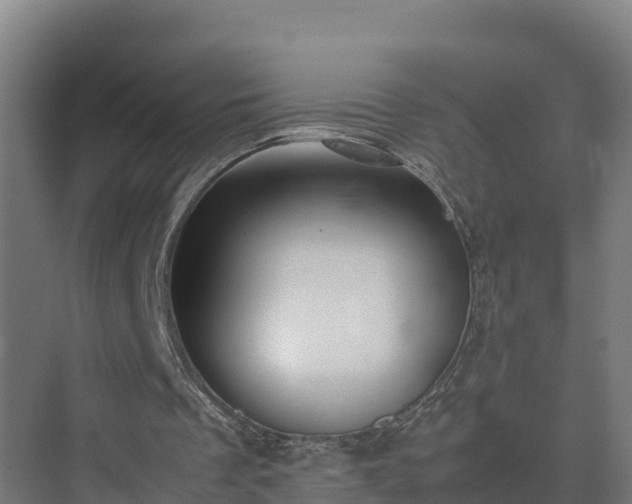 X0000075380289200609151736