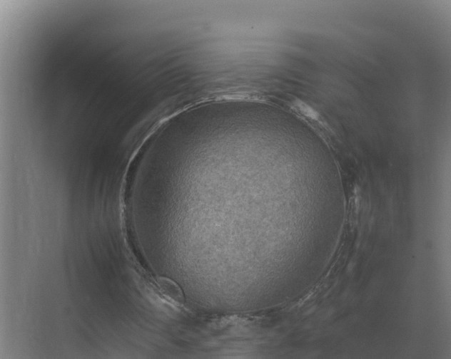 X0000075380290200609151736