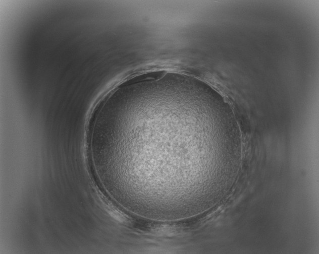 X0000075380293200609151736