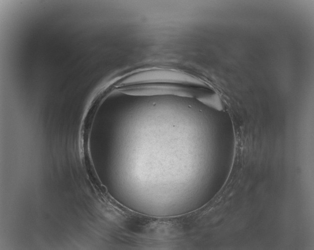 X0000075380294200609151736