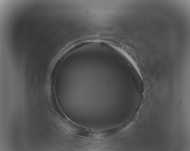 X0000075380295200609151736