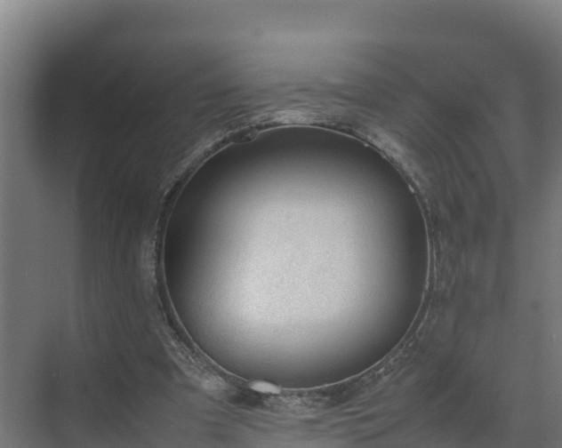 X0000075380297200609151736