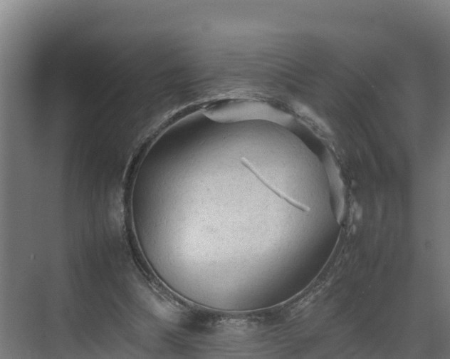 X0000075380298200609151736