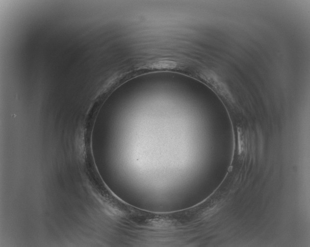 X0000075380300200609151736