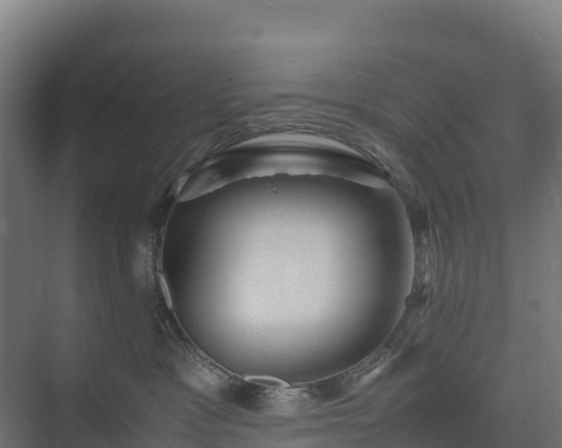 X0000075380333200609151735