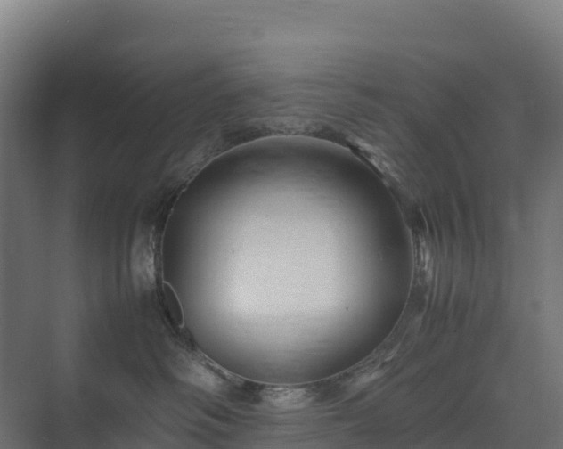X0000075380334200609151735