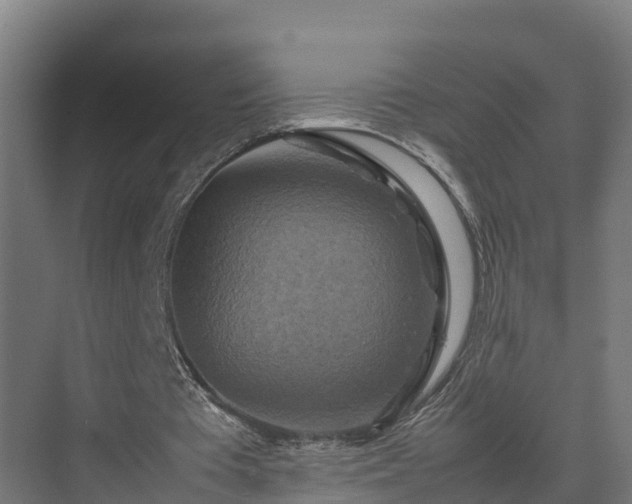 X0000075380385200609151734