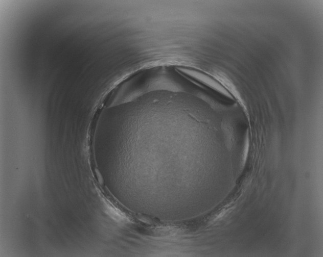 X0000075380389200609151734