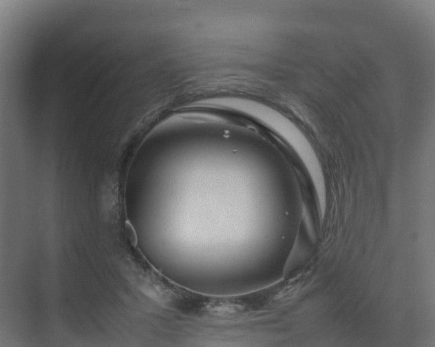X0000075380407200609151734