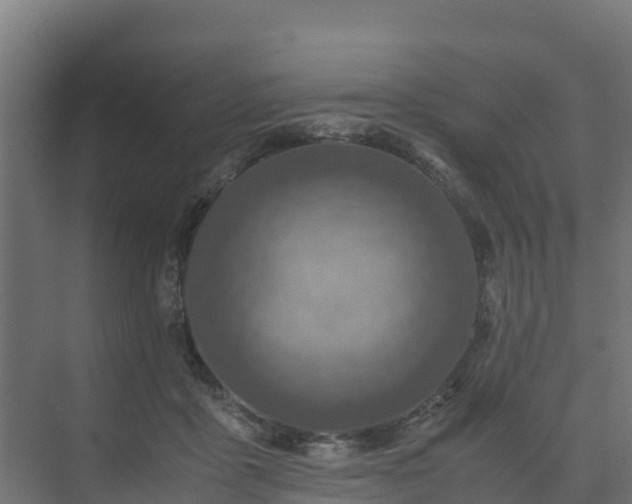 X0000075380411200609151734