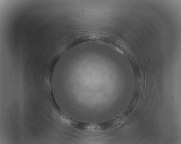 X0000075380415200609151734