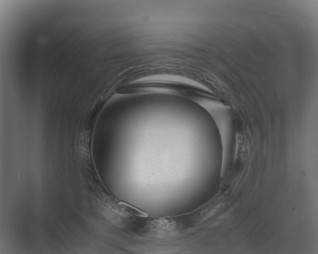 X0000075380421200609151733