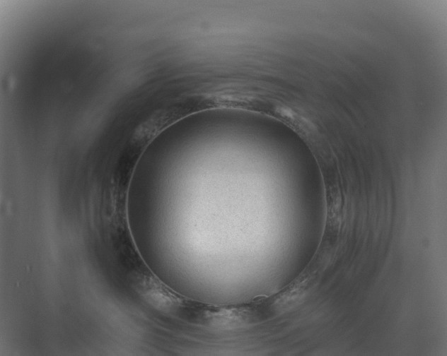 X0000075380430200609151733