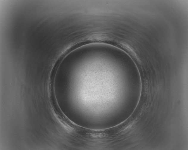 X0000075380439200609151733