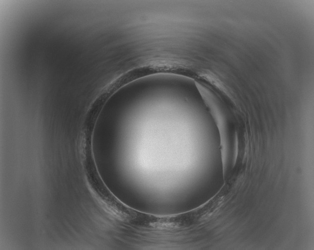 X0000075380448200609151733