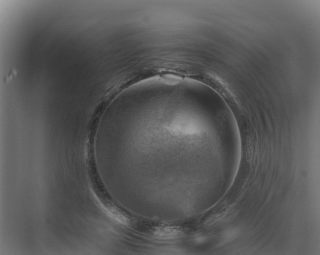 X0000075380451200609151733