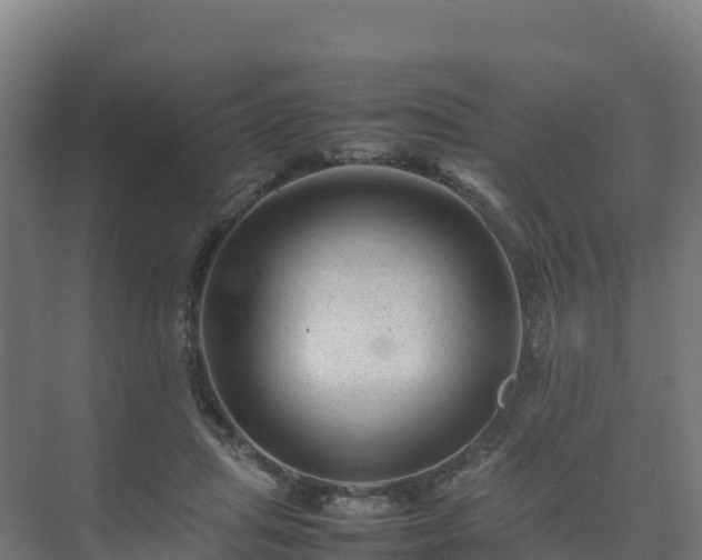 X0000075380455200609151733