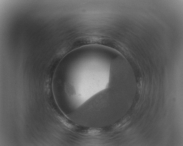 X0000075380462200609151733