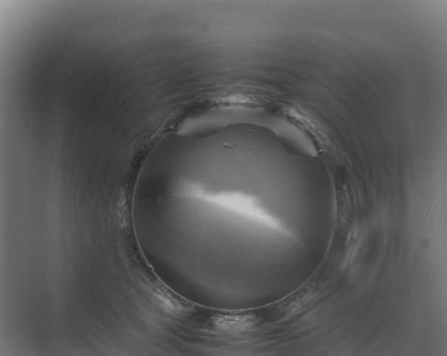 X0000075380465200609151733