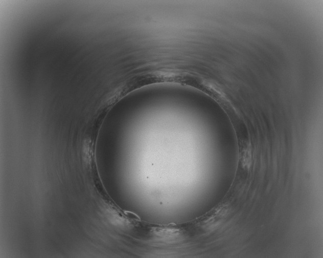 X0000075380476200609151733