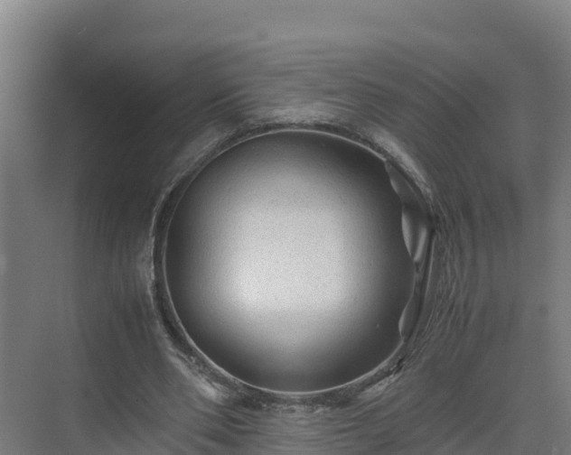 X0000075380486200609151732