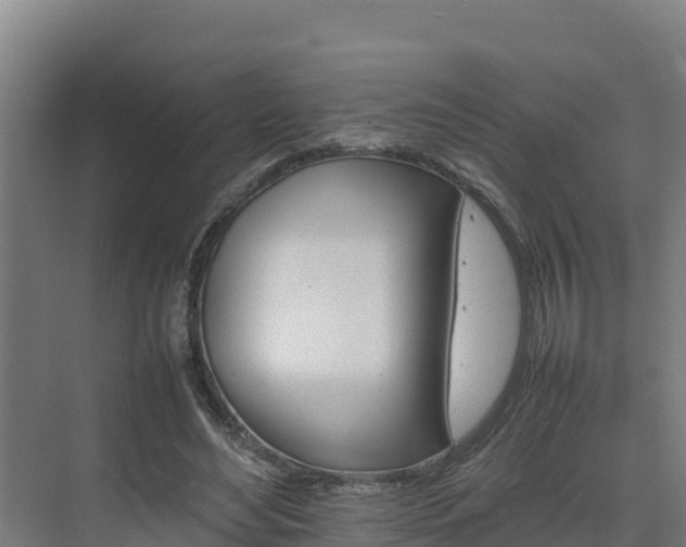 X0000075380492200609151732
