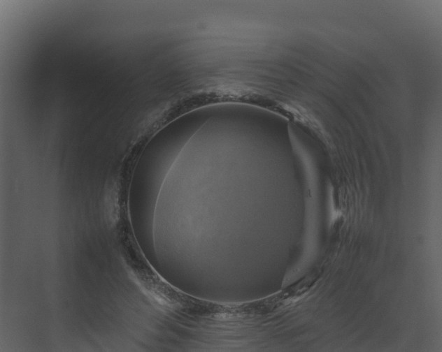 X0000075380496200609151732