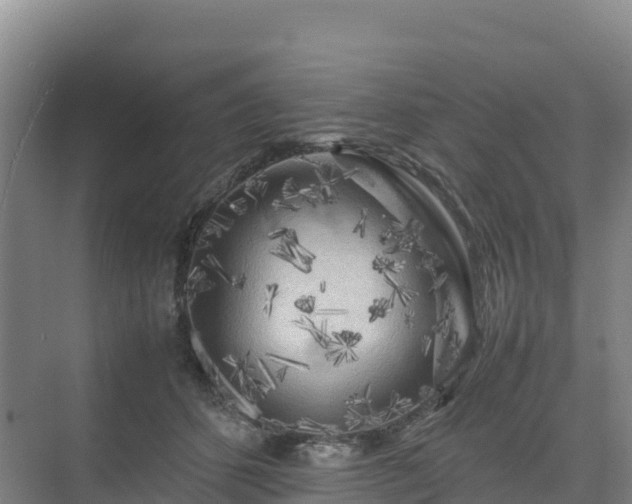X0000075380512200609151732