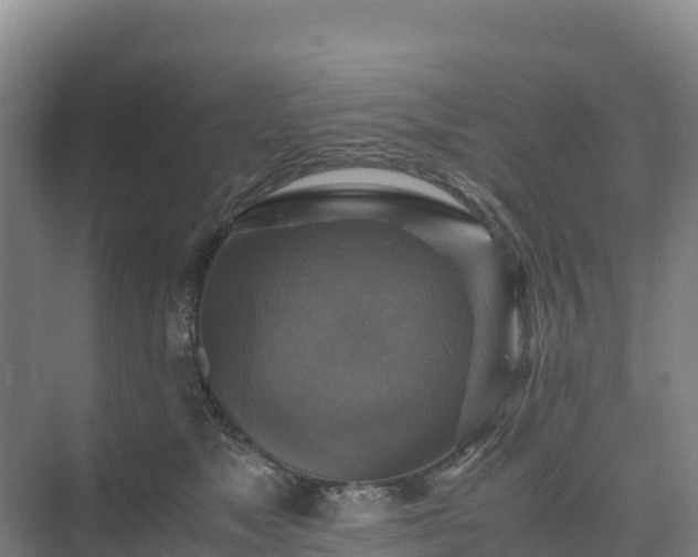 X0000075380517200609151732