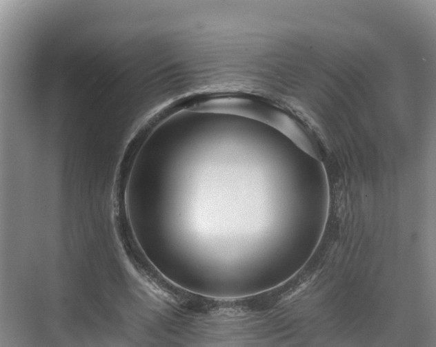 X0000075380536200609151731