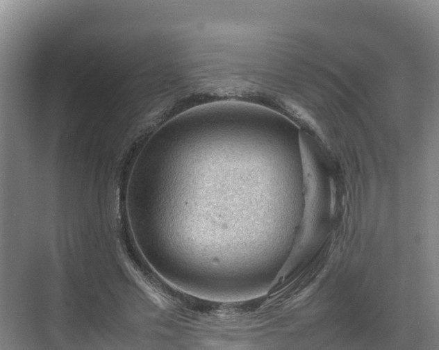 X0000075380589200609151731