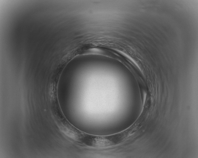 X0000075380605200609151730