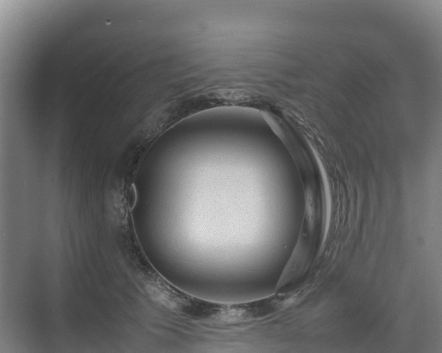 X0000075380609200609151730