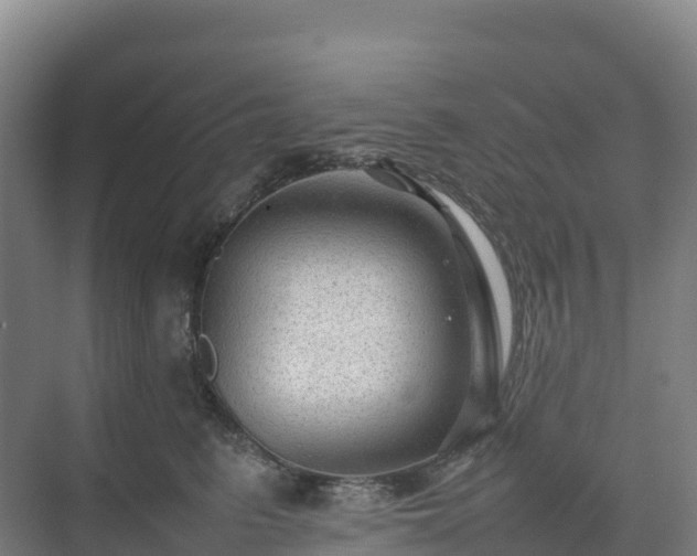 X0000075380615200609151730