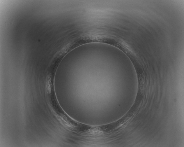 X0000075380644200609151730