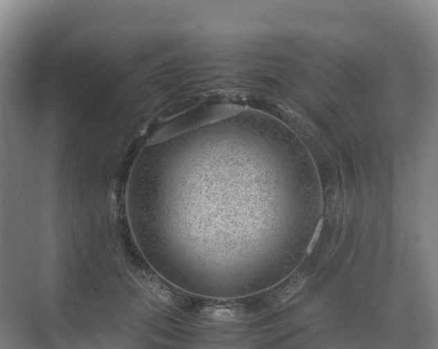 X0000075380655200609151730