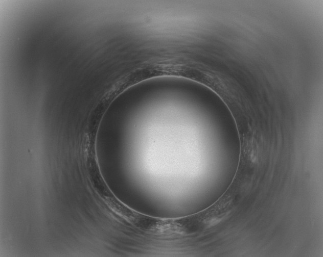 X0000075380752200609151728