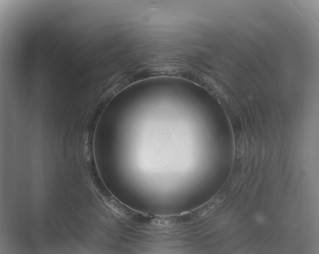 X0000075380764200609151728