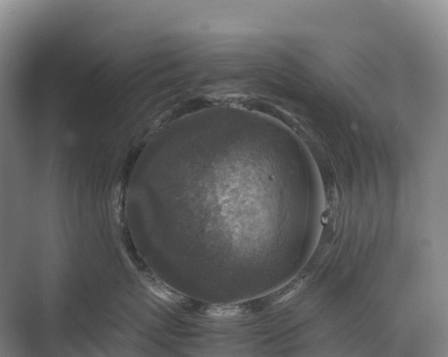 X0000075380767200609151728