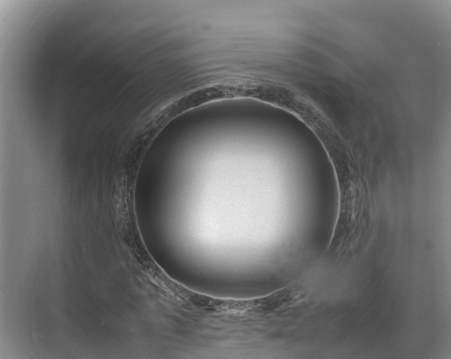 X0000075380773200609151728