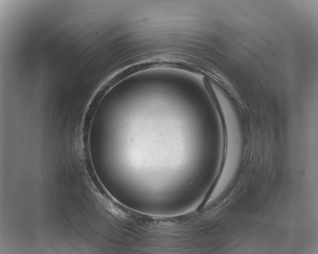 X0000075380784200609151727